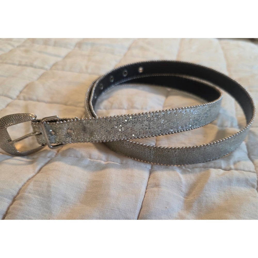 Vintage Western Belt Women 45 Silver Metallic Glitter Snakeskin Ball Chain Edge